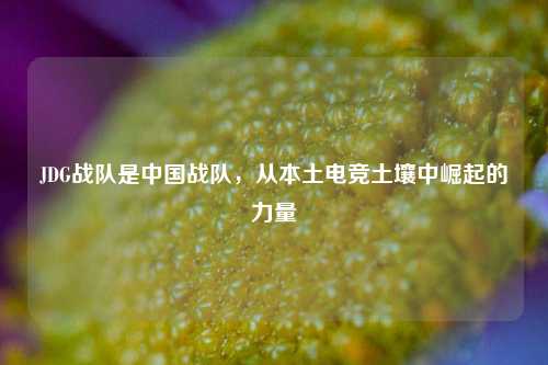 JDG战队是中国战队,从本土电竞土壤中崛起的力量