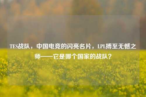 TES战队,中国电竞的闪亮名片,LPL搏至无憾之师——它是哪个国家的战队?