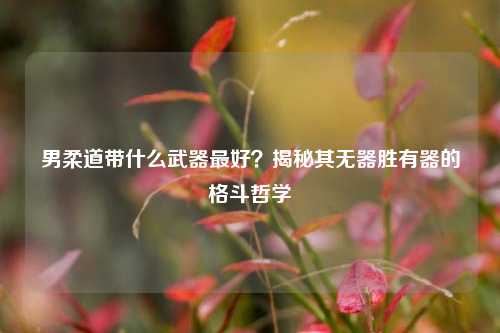男柔道带什么武器更好?揭秘其无器胜有器的格斗哲学