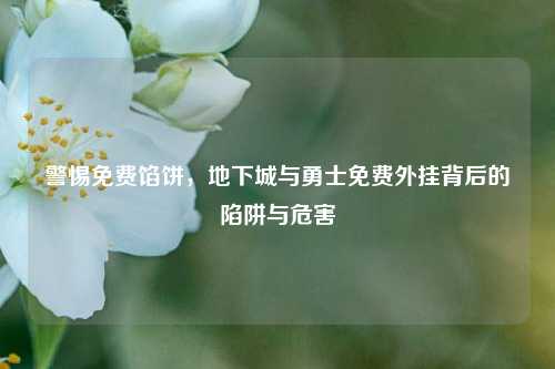 警惕免费馅饼，地下城与勇士免费外挂背后的陷阱与危害