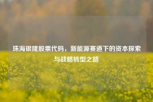 珠海银隆股票代码，新能源赛道下的资本探索与战略转型之路