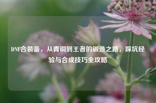 DNF合装备,从青铜到王者的锻造之路,踩坑经验与合成技巧全攻略