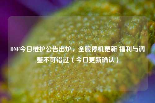 DNF今日维护公告出炉，全服停机更新 福利与调整不可错过（今日更新确认）