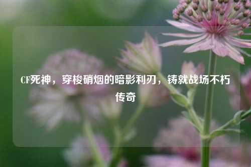 CF死神,穿梭硝烟的暗影利刃,铸就战场不朽传奇
