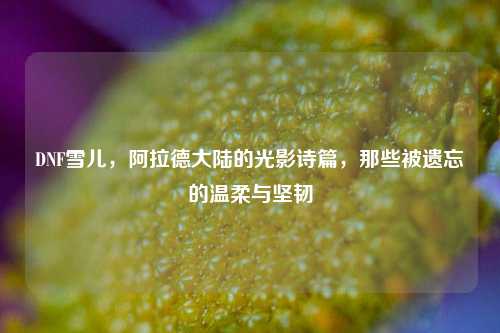 DNF雪儿,阿拉德大陆的光影诗篇,那些被遗忘的温柔与坚韧