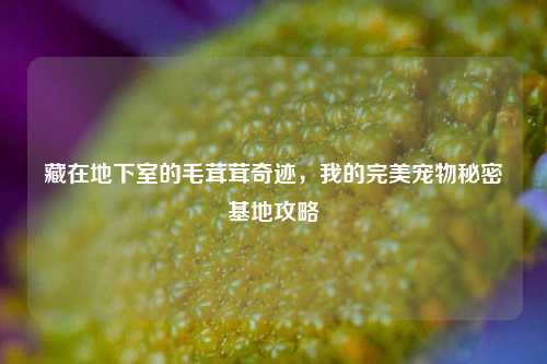 藏在地下室的毛茸茸奇迹,我的完美宠物秘密基地攻略