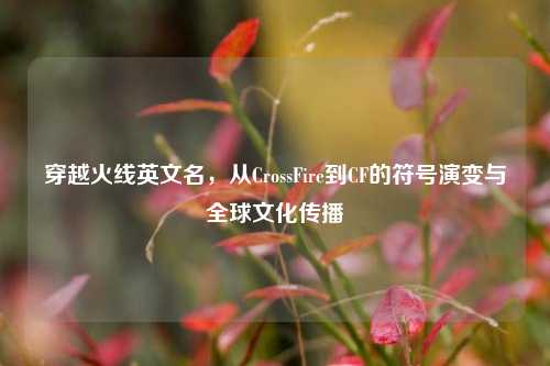 穿越火线英文名，从CrossFire到CF的符号演变与全球文化传播