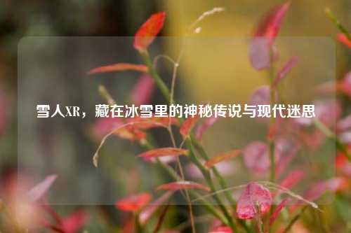 雪人XR,藏在冰雪里的神秘传说与现代迷思