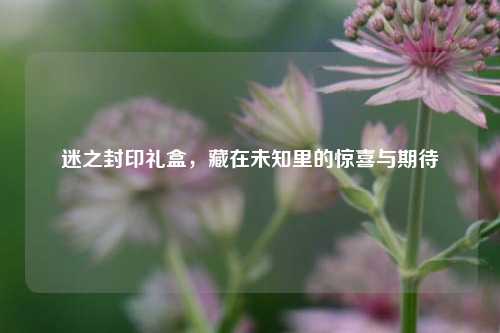 迷之封印礼盒,藏在未知里的惊喜与期待