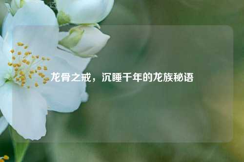 龙骨之戒，沉睡千年的龙族秘语