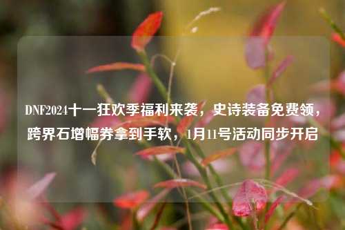 DNF2024十一狂欢季福利来袭，史诗装备免费领，跨界石增幅券拿到手软，1月11号活动同步开启