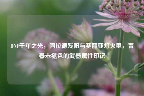 DNF千年之光,阿拉德残阳与赛丽亚灯火里,青春未褪色的武器属性印记