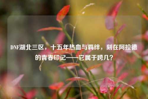 DNF湖北三区,十五年热血与羁绊,刻在阿拉德的青春印记——它属于跨几?