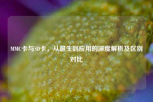 MMC卡与SD卡，从诞生到应用的深度解析及区别对比