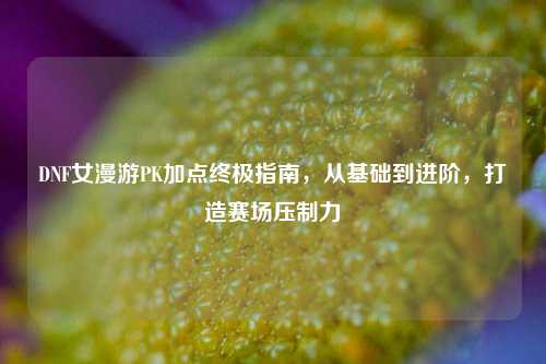 DNF女漫游PK加点终极指南,从基础到进阶,打造赛场压制力