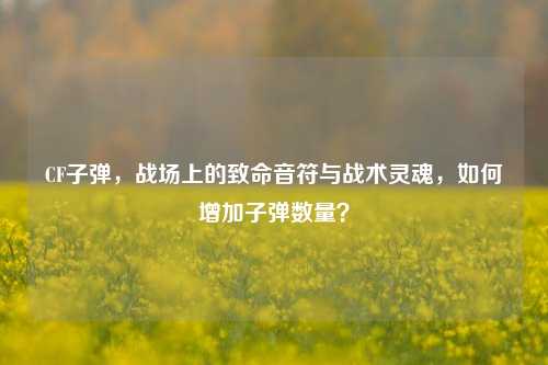CF子弹,战场上的致命音符与战术灵魂,如何增加子弹数量?
