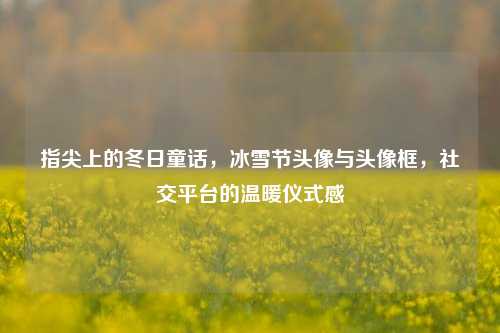 指尖上的冬日童话,冰雪节头像与头像框,社交平台的温暖仪式感