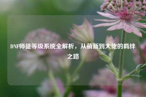 DNF师徒等级系统全解析，从萌新到大佬的羁绊之路