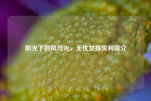 阳光下的风与光，无忧女孩贝利简介