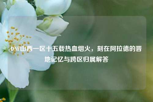 DNF山西一区十五载热血烟火,刻在阿拉德的晋地记忆与跨区归属解答