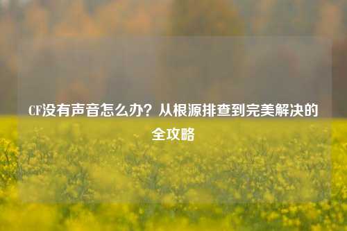 CF没有声音怎么办?从根源排查到完美解决的全攻略