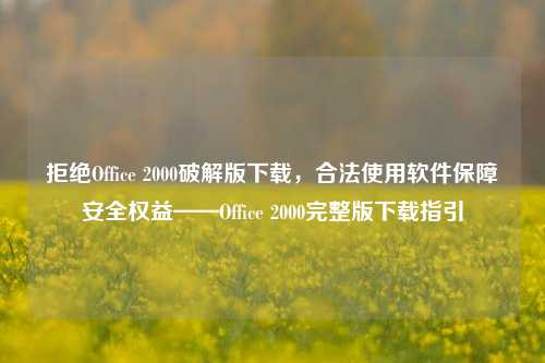 拒绝Office 2000破解版下载，合法使用软件保障安全权益——Office 2000完整版下载指引