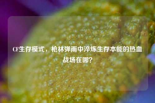 CF生存模式,枪林弹雨中淬炼生存本能的热血战场在哪?