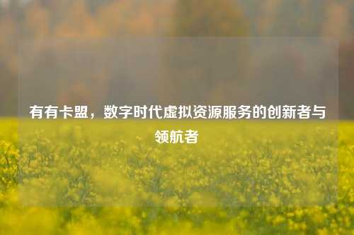 有有卡盟,数字时代虚拟资源服务的创新者与领航者
