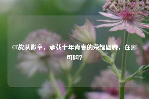 CF战队徽章，承载十年青春的荣耀图腾，在哪可购？