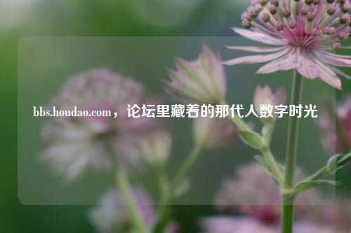 bbs.houdao.com,论坛里藏着的那代人数字时光