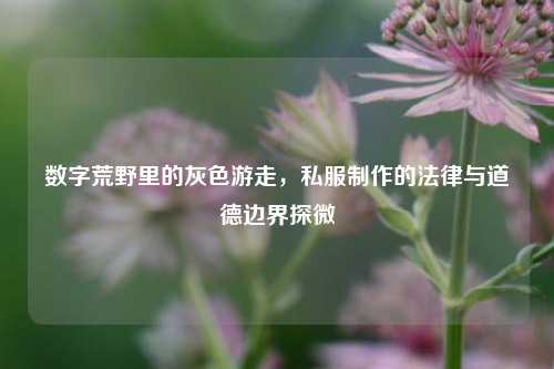 数字荒野里的灰色游走,私服 *** 的法律与道德边界探微