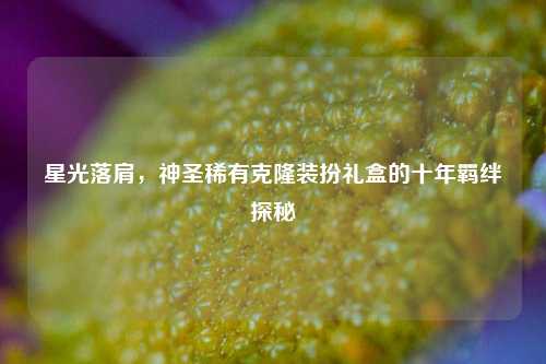 星光落肩,神圣稀有克隆装扮礼盒的十年羁绊探秘