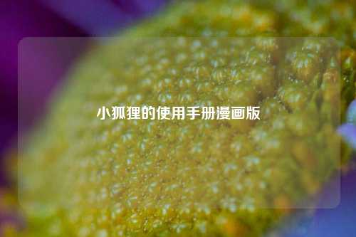 小狐狸的使用手册漫画版