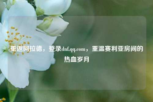 重返阿拉德，登录dnf.qq.com，重温赛利亚房间的热血岁月