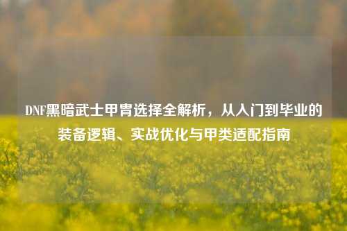 DNF黑暗武士甲胄选择全解析,从入门到毕业的装备逻辑、实战优化与甲类适配指南