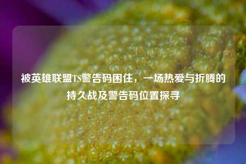 被英雄联盟TS警告码困住，一场热爱与折腾的持久战及警告码位置探寻