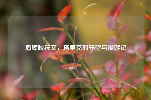 盾辉映符文,塔里克的守望与漫游记