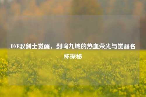 DNF驭剑士觉醒,剑鸣九域的热血荣光与觉醒名称探秘