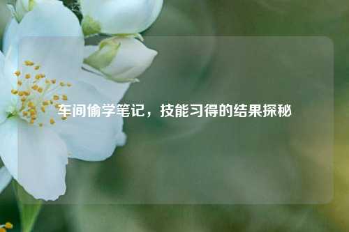 车间偷学笔记,技能习得的结果探秘