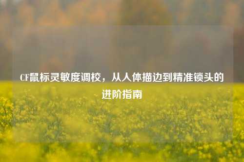 CF鼠标灵敏度调校,从人体描边到精准锁头的进阶指南