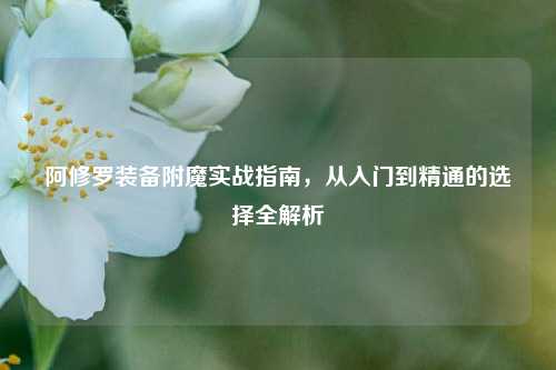 阿修罗装备附魔实战指南,从入门到精通的选择全解析