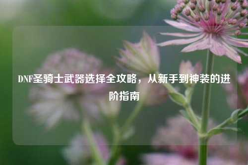 DNF圣骑士武器选择全攻略,从新手到神装的进阶指南