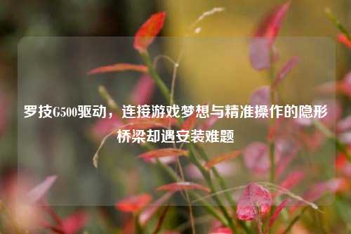 罗技G500驱动,连接游戏梦想与精准操作的隐形桥梁却遇安装难题