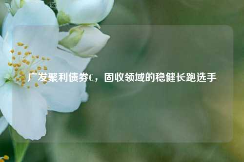 广发聚利债券C,固收领域的稳健长跑选手