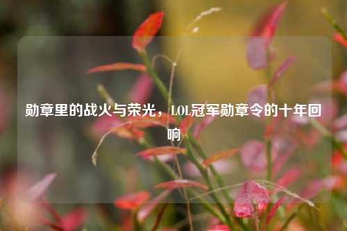 勋章里的战火与荣光,LOL冠军勋章令的十年回响