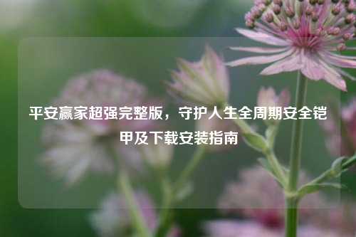 平安赢家超强完整版,守护人生全周期安全铠甲及下载安装指南