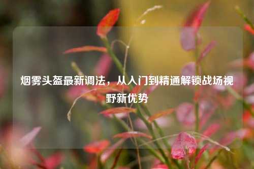 烟雾头盔最新调法，从入门到精通解锁战场视野新优势
