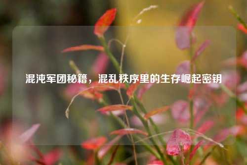 混沌军团秘籍,混乱秩序里的生存崛起密钥