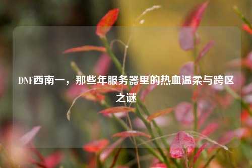 DNF西南一,那些年服务器里的热血温柔与跨区之谜