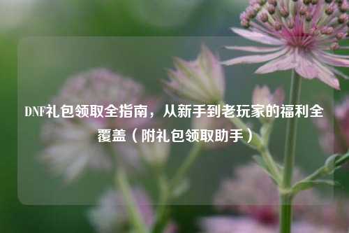 DNF礼包领取全指南,从新手到老玩家的福利全覆盖(附礼包领取助手)